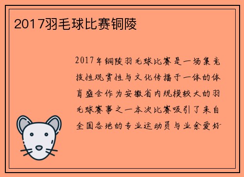 2017羽毛球比赛铜陵