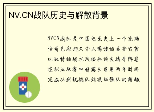 NV.CN战队历史与解散背景