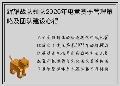 辉耀战队领队2025年电竞赛季管理策略及团队建设心得